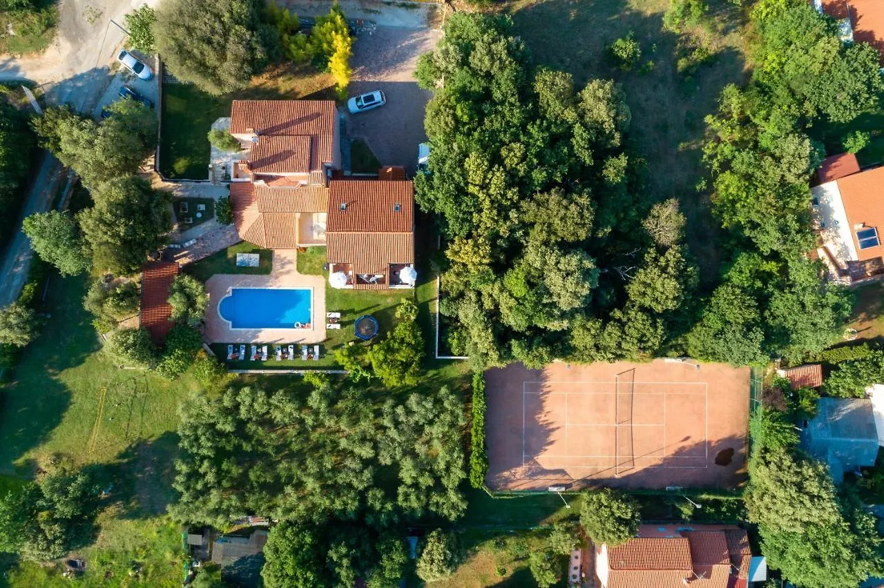Guesthouse 